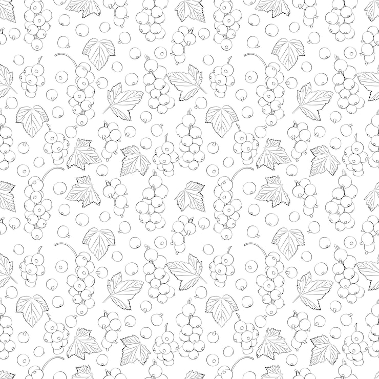 Vector un conjunto de fondo sin costuras de grosella versión en blanco y negro 1000x1000 gráfico vectorial