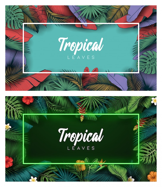 Vector conjunto de fondo de hojas de verano tropical con plantas de la selva