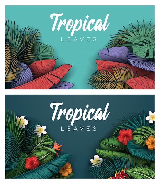 Vector conjunto de fondo de hojas de verano tropical con plantas de la selva