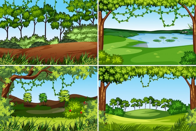 Conjunto de fondo de la naturaleza