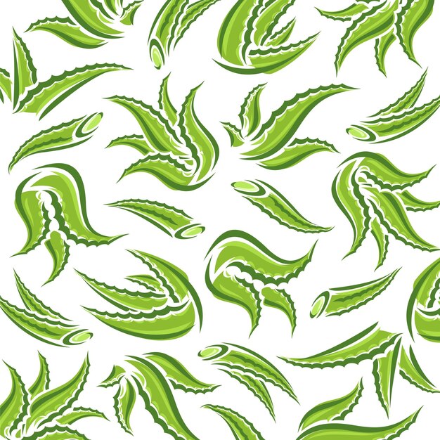 Conjunto de fondo de patrón de aloe vera Conjunto de aloe vera aislado Vector