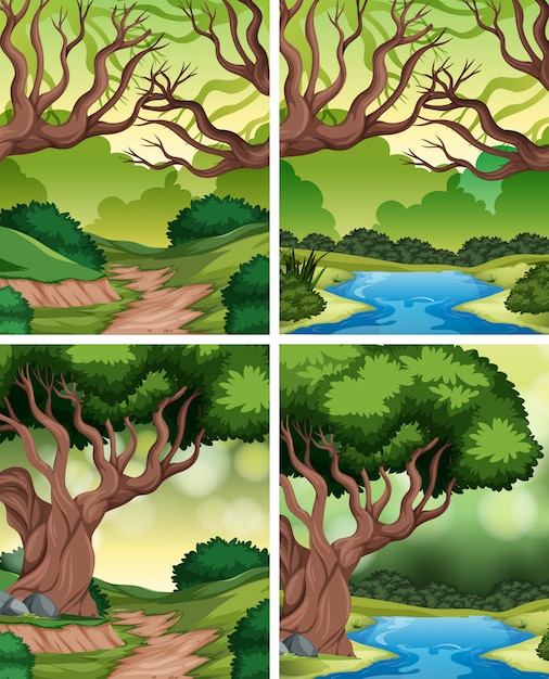 Conjunto de fondo de la selva tropical