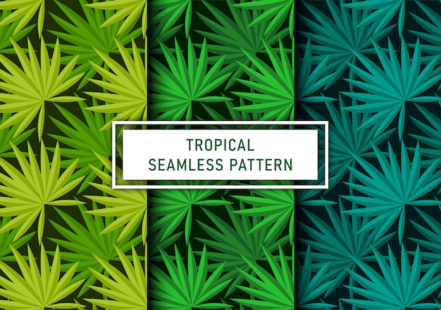 Conjunto de fondo transparente de hojas tropicales vector premium