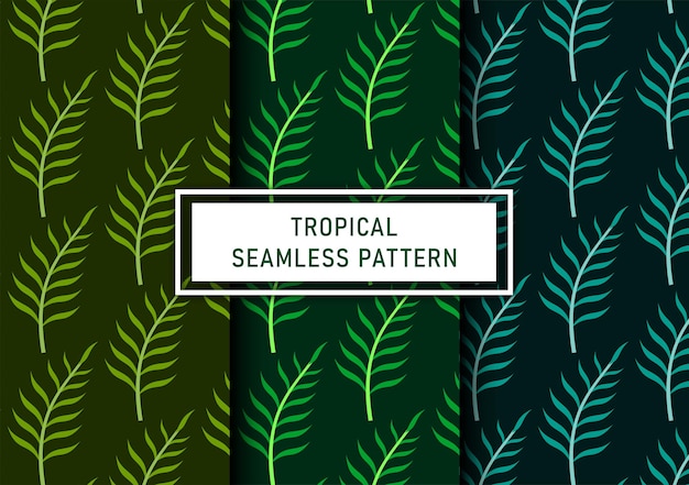 Conjunto de fondo transparente de hojas tropicales Vector Premium