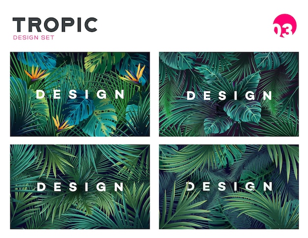 Conjunto de fondo tropical brillante con plantas de la selva patrón exótico con hojas tropicales