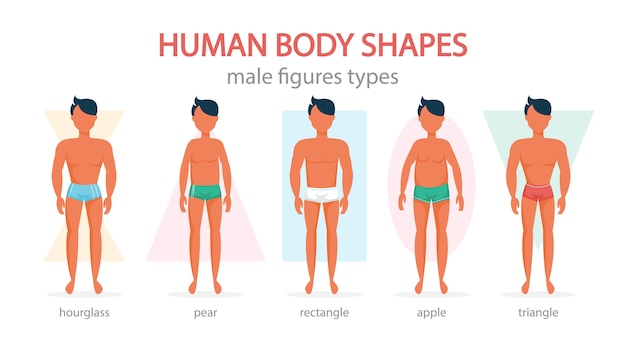 Conjunto de formas de cuerpo masculino. Triángulo y rectángulo, pera y manzana