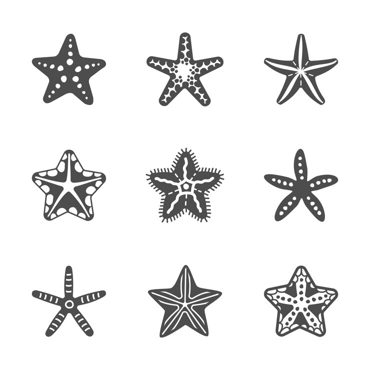 Conjunto de formas vectoriales de varias estrellas de mar