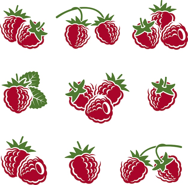 Conjunto de frambuesa Vector