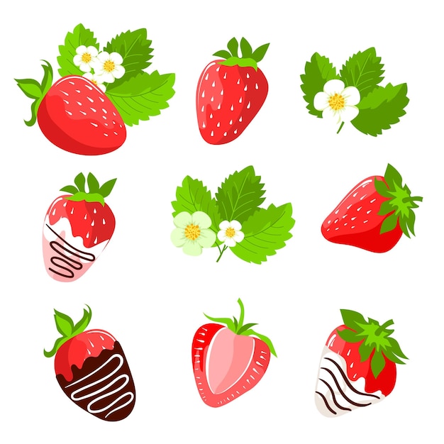 Vector un conjunto de fresas, bayas, flores, hojas y fresas en chocolate.