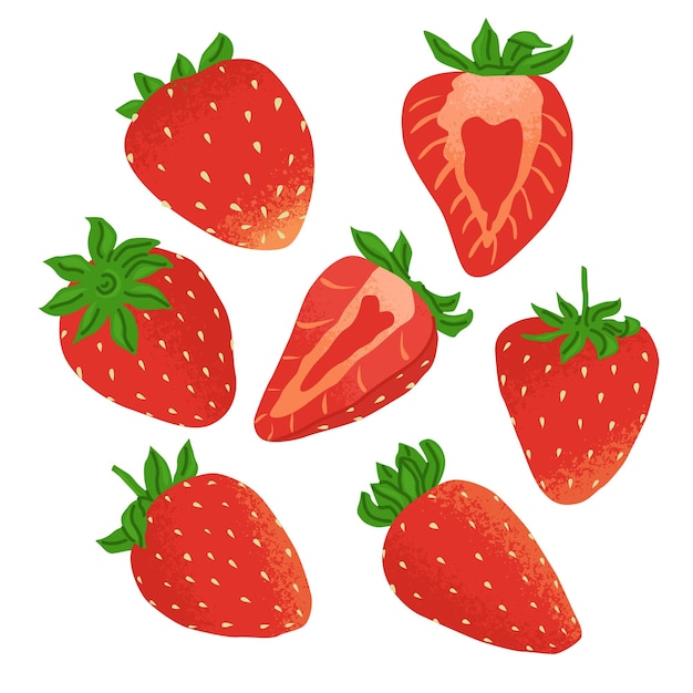 Vector conjunto de fresas maduras con hojas verdes aisladas en un fondo transparente bayas enteras y divididas en dos desde diferentes ángulos imagen de verano brillante para fruterías y cafés ilustración vectorial