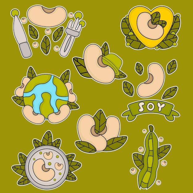 Conjunto de frijoles de soja