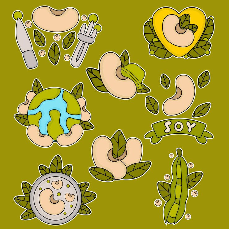 Conjunto de frijoles de soja