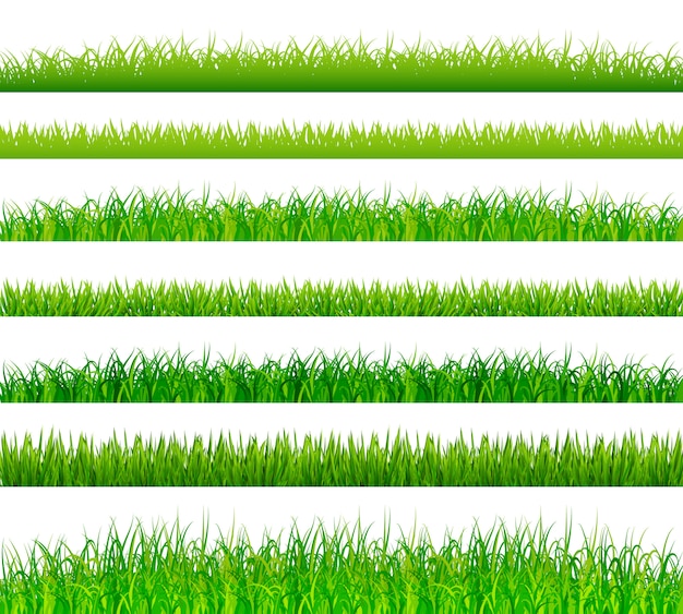 Conjunto de fronteras de hierba verde