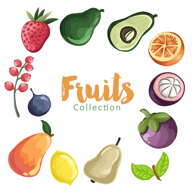 Conjunto de fruta colorida de dibujos animados. colección de frutas