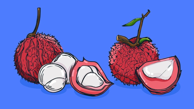 Conjunto de fruta de lichi Ilustración vectorial en estilo de boceto de una línea boceto dibujado a mano plano Colorido
