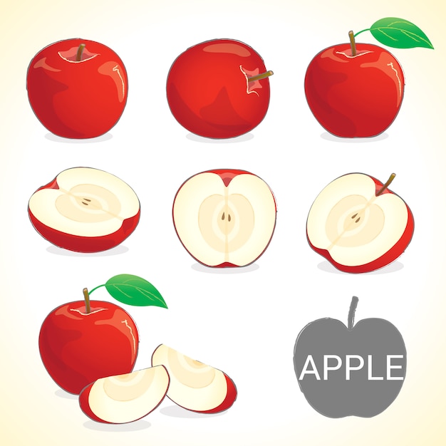 Conjunto de fruta de manzana en varios estilos vector formato