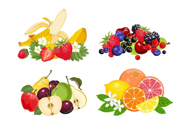 Vector conjunto de frutas bayas y cítricos.