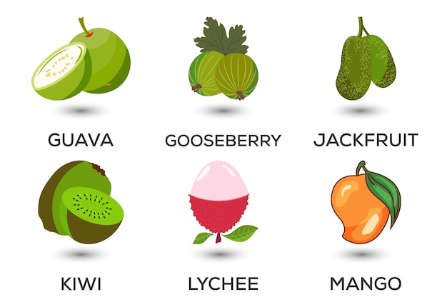 Conjunto de frutas Diferentes frutas coloridas Alimentos frescos Concepto de alimentación saludable Ilustración vectorial