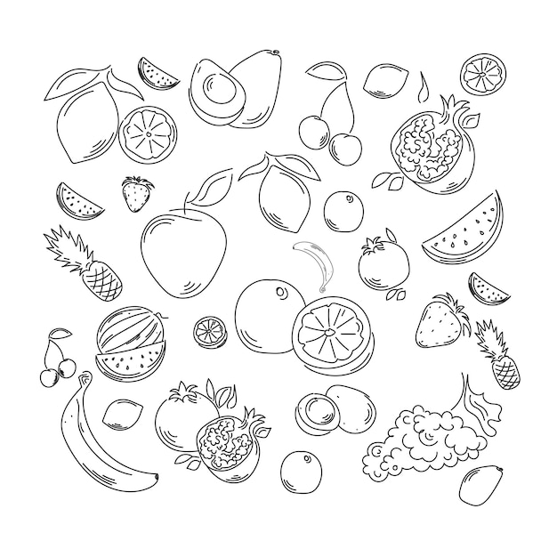 Vector conjunto de frutas en estilo de arte lineal en negro.