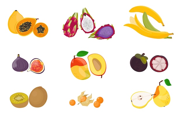 Vector conjunto de frutas exóticas tropicales. comida vegetariana cruda. colección de iconos planos de dibujos animados de ilustración aislado en blanco.