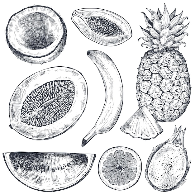 Conjunto de frutas frescas dibujadas a mano en estilo boceto colección de vectores en blanco y negro