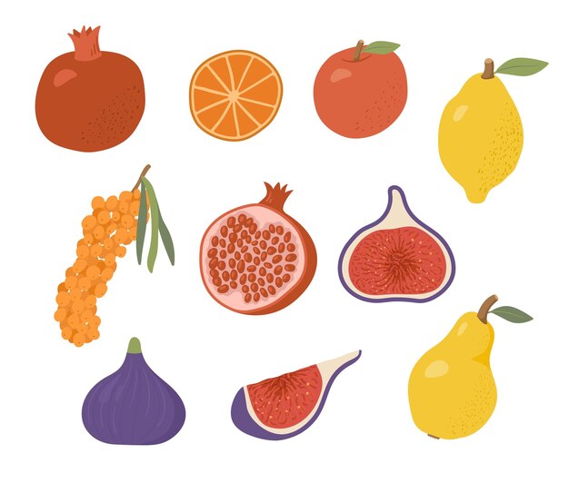 Conjunto de frutas de granja orgánica de dibujos animados sobre fondo blanco. Ilustración de vector plano de cosecha de otoño