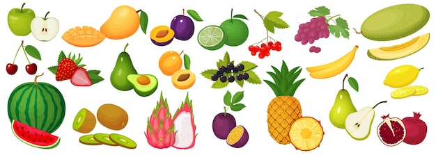Un conjunto de frutas Iconos coloridos de dibujos animados de frutas maduras y jugosas aisladas en un fondo blanco