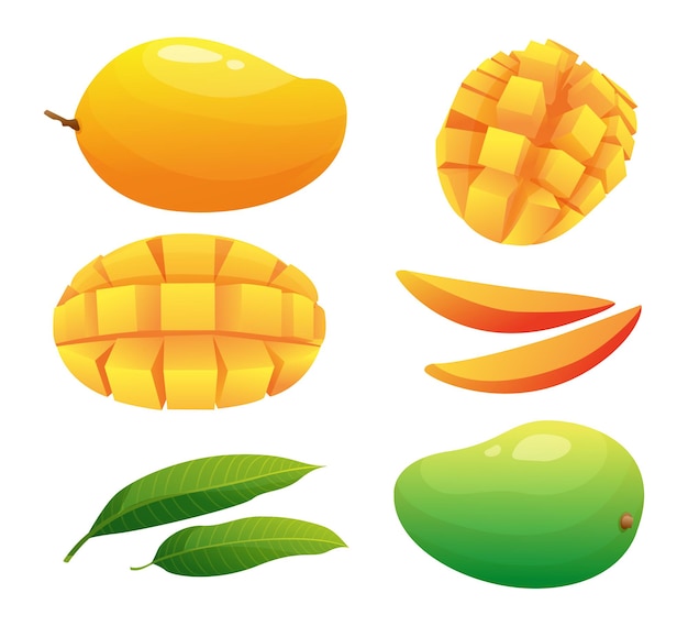 Conjunto de frutas de mango enteras mitad y rebanadas cúbicas ilustración aislada sobre fondo blanco