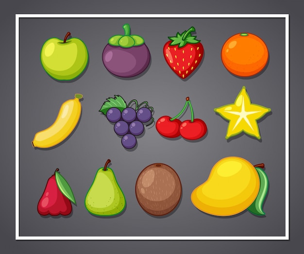 Vector conjunto de frutas en marco