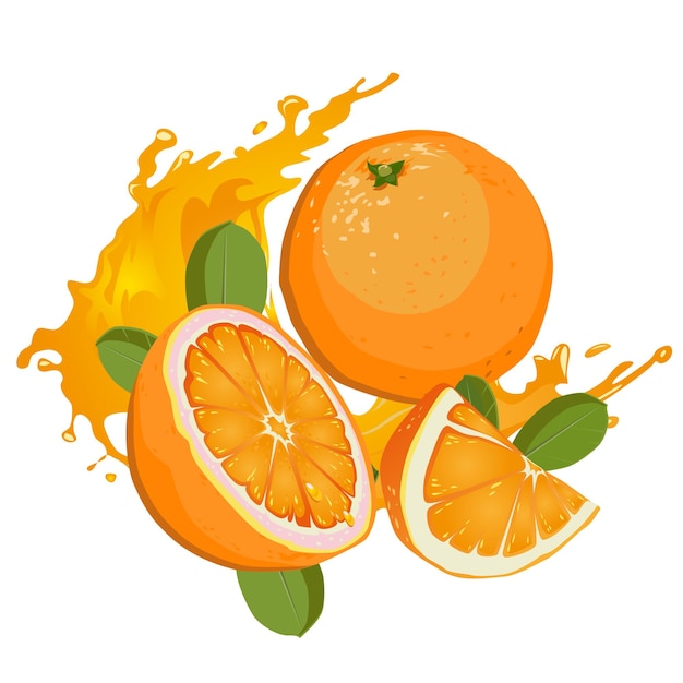 Vector conjunto de frutas de naranja fresca jugosa naranja aislado sobre fondo blanco.