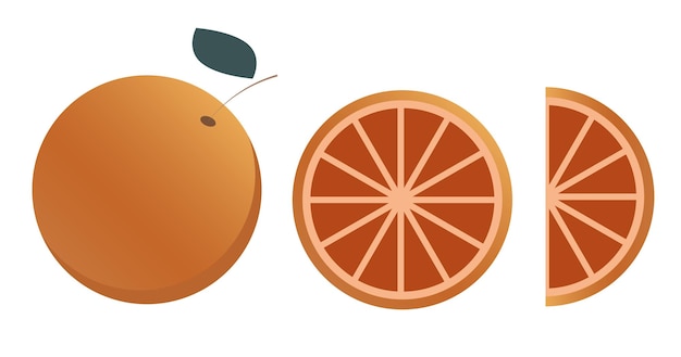 Vector conjunto de frutas naranjas, enteras y en rodajas, en un moderno estilo minimalista. aislado sobre fondo blanco