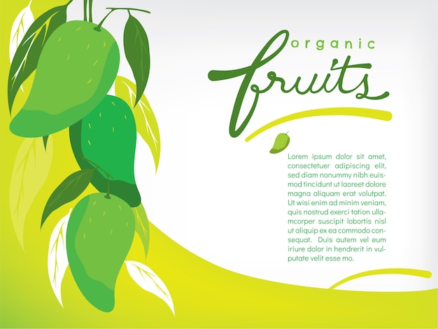 Conjunto de frutas orgánicas de mango wallpaper