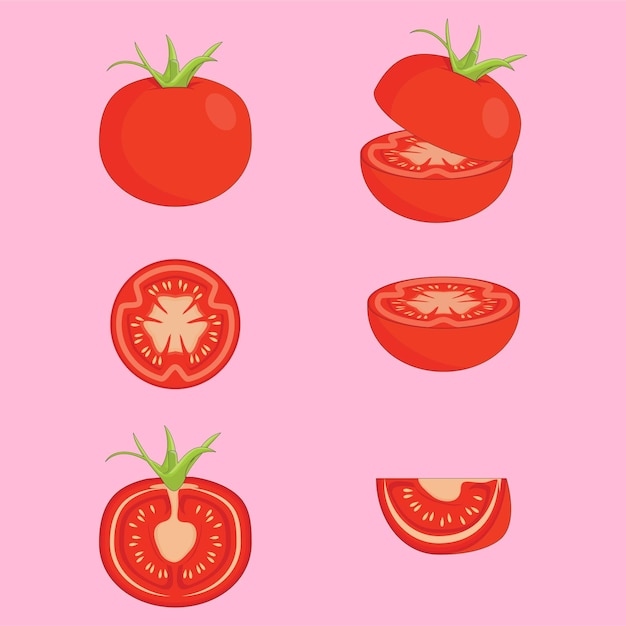 Vector conjunto de frutas de tomate