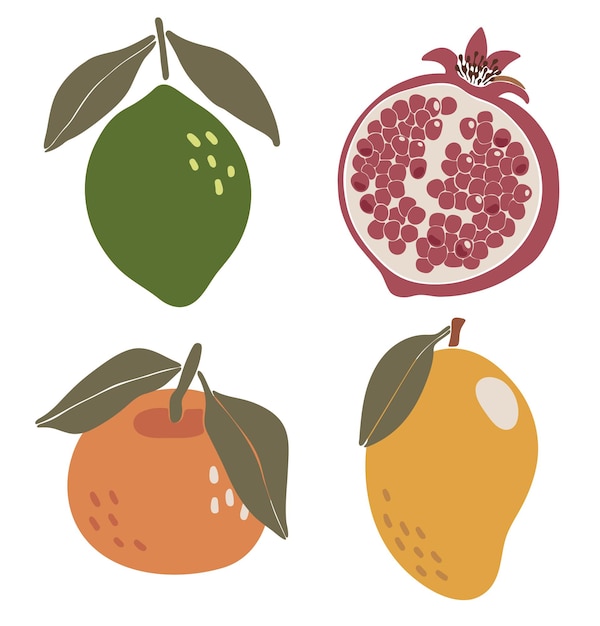 Conjunto de frutas tropicales abstractas elementos tropicales boho aislados ilustración vectorial