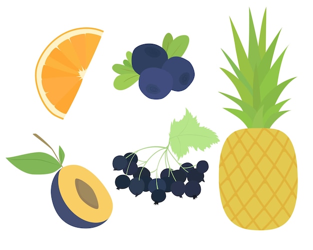 Conjunto de frutas vectoriales. Diseño de naranja, piña, grosella, ciruela, bayas.