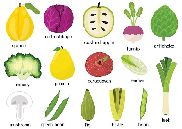 Conjunto de frutas y verduras Colección de elementos aislados de alimentos saludables en estilo de dibujos animados