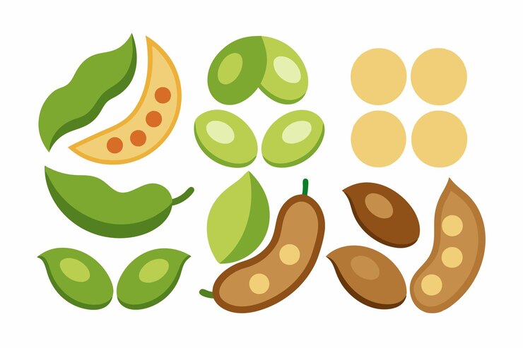 Vector un conjunto de frutas y verduras, incluidos el kiwi, el kiwi y el kiwi