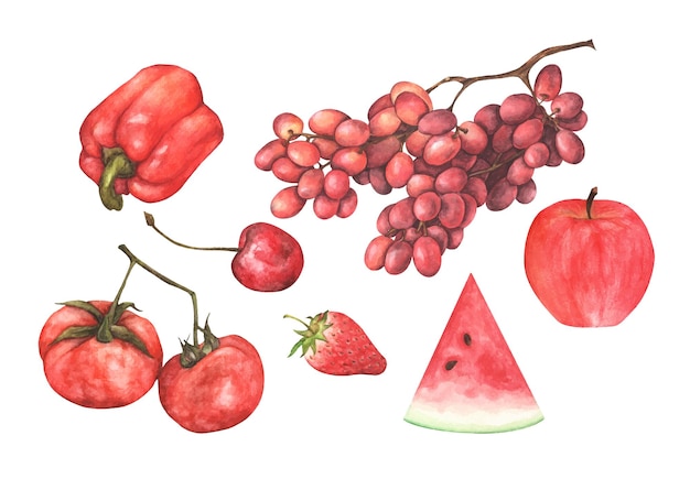 Conjunto de frutas y verduras rojas Ilustración acuarela