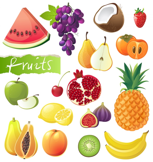 Vector conjunto de frutas