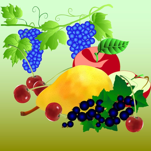 Vector conjunto de frutas