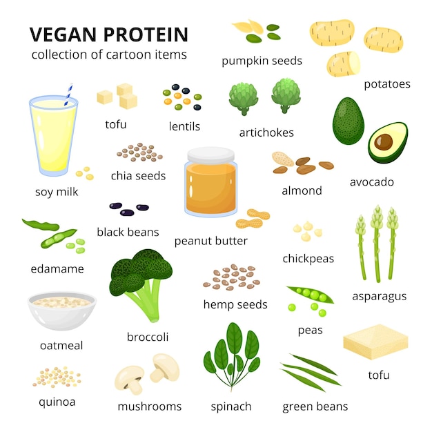 Vector conjunto de fuentes de proteínas veganas al estilo de dibujos animados aisladas sobre un fondo blanco con nombres