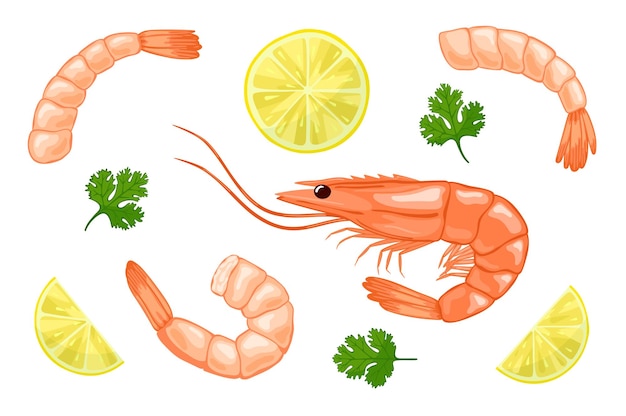 Vector conjunto de gambas hervidas