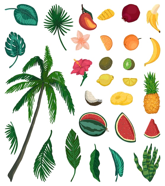 Conjunto de garabates de la naturaleza tropical Colección de hojas exóticas flores de palma frutas ilustraciones de dibujos animados