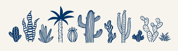 Conjunto de garabates de plantas de cactus dibujados a mano Plantas suculentas contorno clipart Tinta elementos botánicos boho
