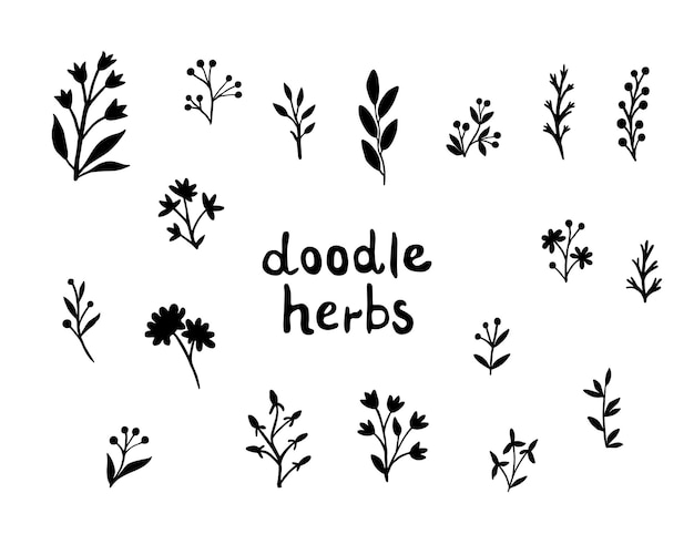 Conjunto de garabatos botánicos Hierbas del bosque bayas ramitas y flores dibujadas a mano