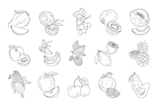 Conjunto de garabatos de frutas y bayas Ilustración vectorial en blanco y negro aislada en un blanco