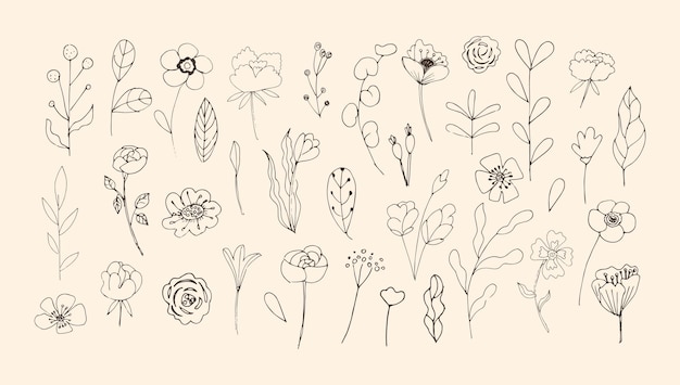 Conjunto de garabatos hermosos elementos florales de primavera y verano flores y hojas bayas Para el cartel de la boda Día de la mujer 8 de marzo y día de San Valentín vacaciones para niños Ilustración vectorial