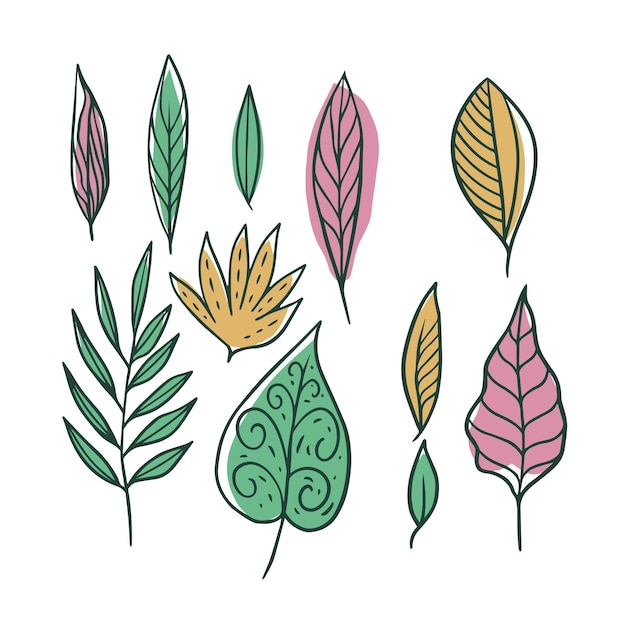 Conjunto de garabatos de hojas dibujadas a mano iconos de hojas de diferentes árboles