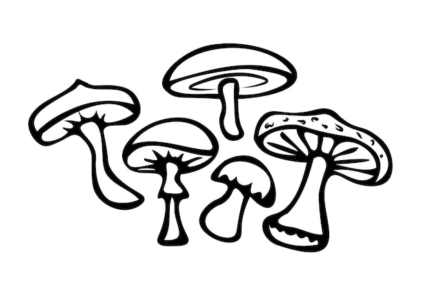 Conjunto de garabatos de hongos del bosque Símbolo de hongos comestibles y venenosos Hongos negros