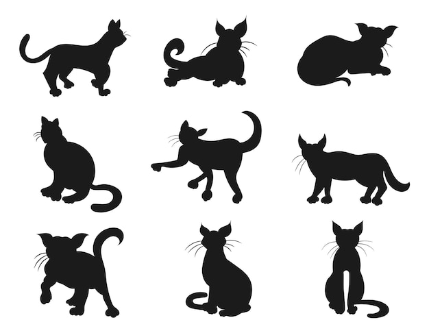 Conjunto, de, gato, aislado, vector, siluetas